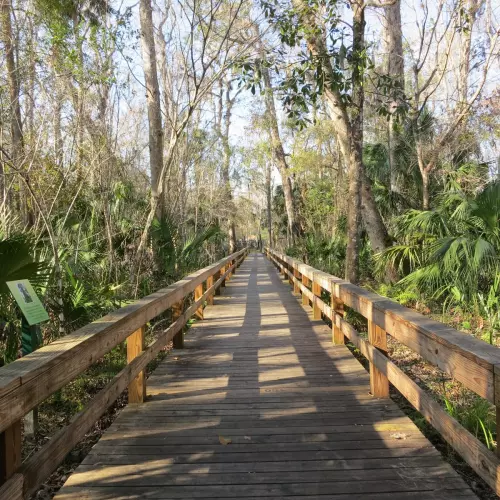 Longwood Photo