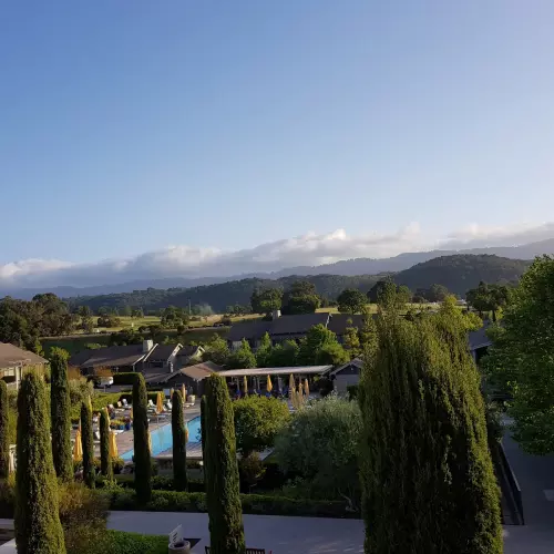 Los Gatos Photo