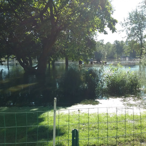 Loves Park Photo