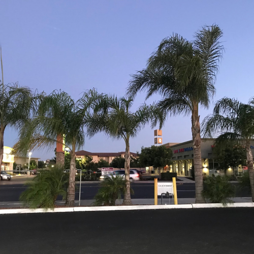 Manteca Photo