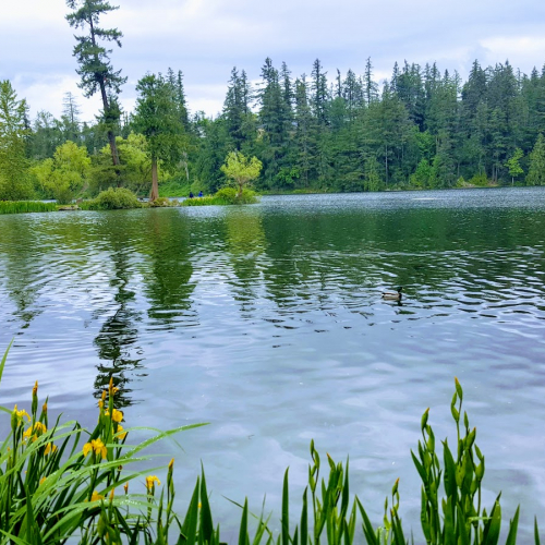 Maple Valley Photo