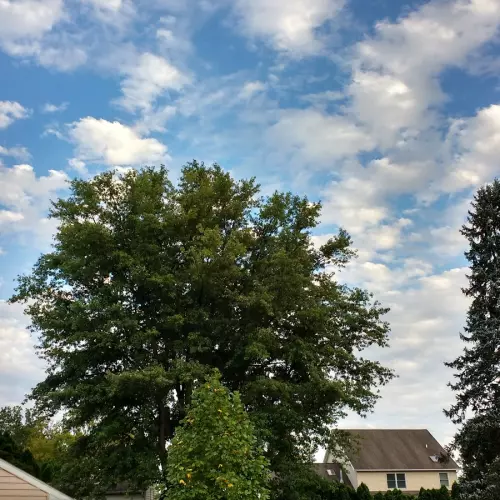 Mechanicsburg Photo