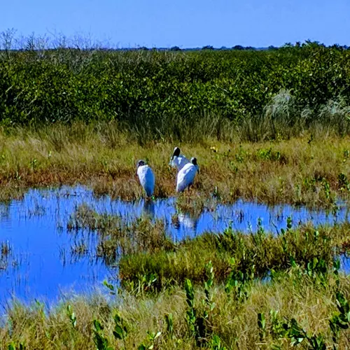 Merritt Island Photo
