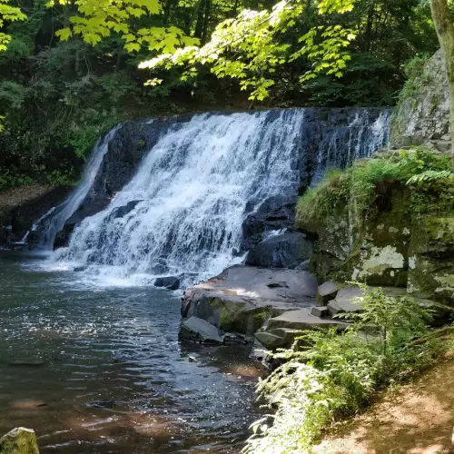 Middletown Photo