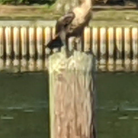 MILLSBORO Photo