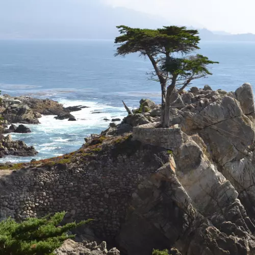 Monterey Photo