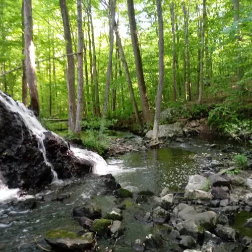 Montville Photo