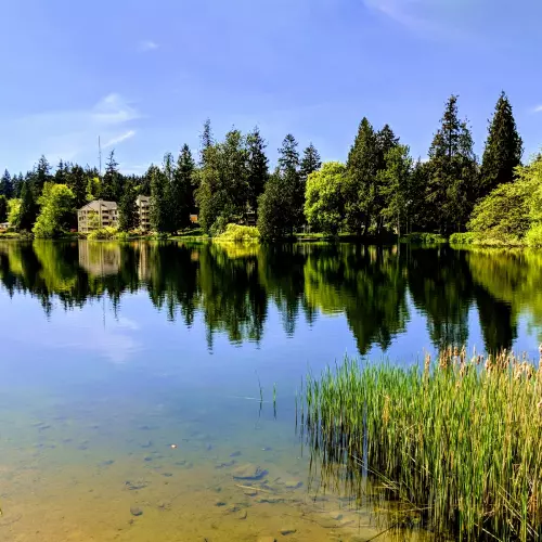 Mountlake Terrace Photo