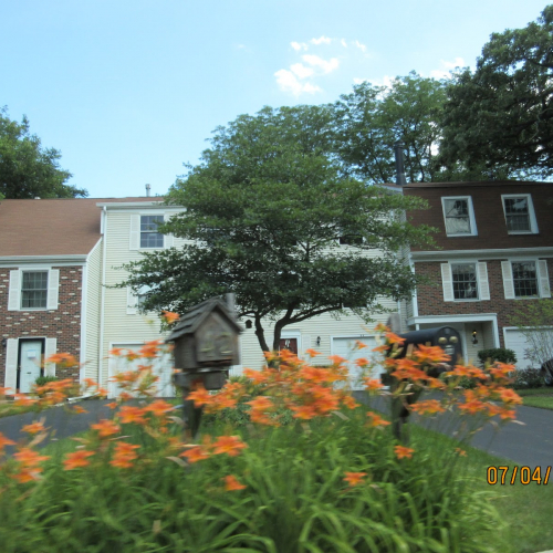 Mt Prospect Photo