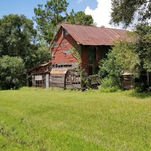 Myakka city Photo
