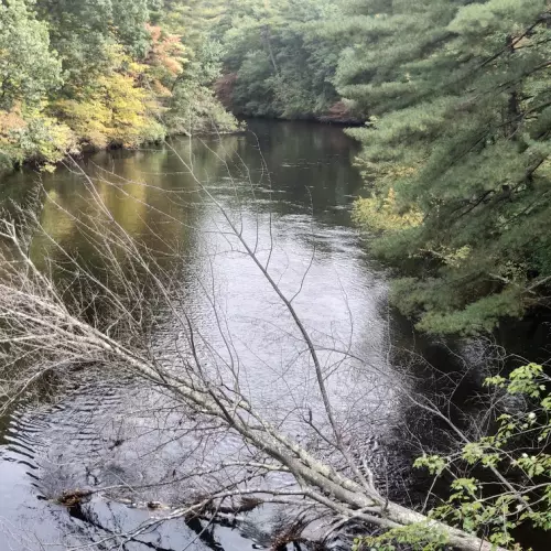 Nashua Photo