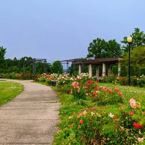 New Britain Photo