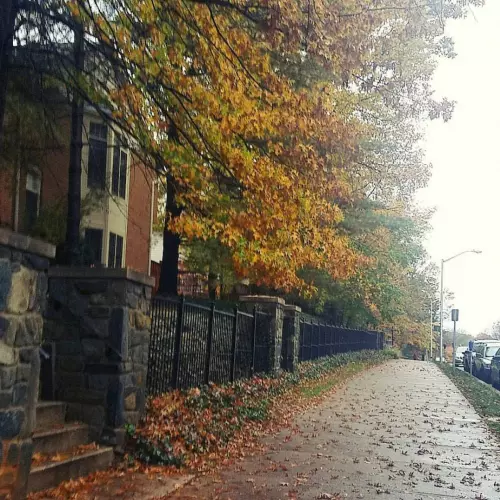 North Bethesda Photo