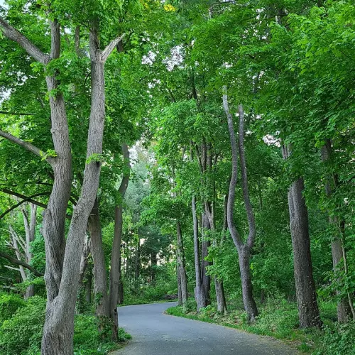 Northborough Photo