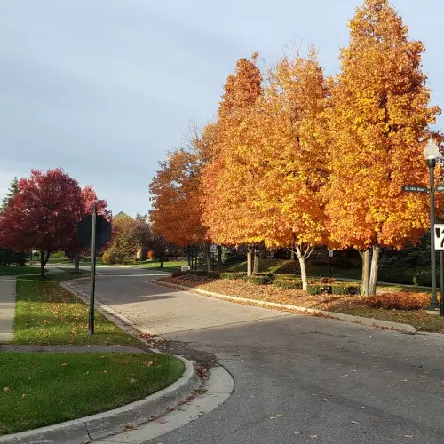 Northville Photo