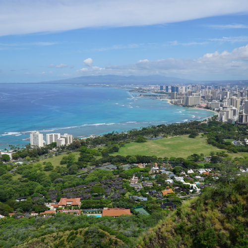 Top 10+ IT Companies in Oahu (2024) TechBehemoths