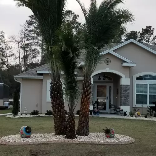 Ocala Photo