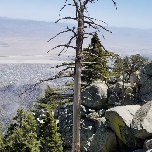 Palm Springs Photo