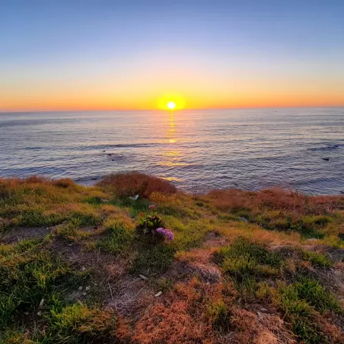 Palos Verdes Photo