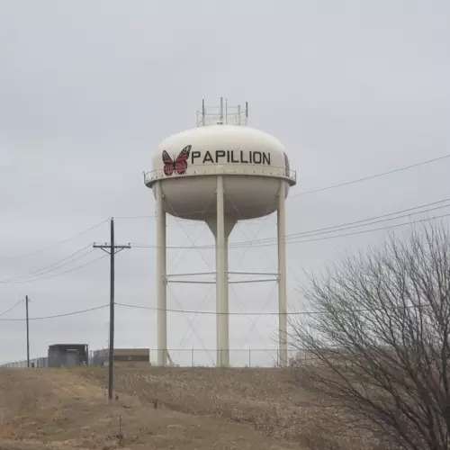 Papilion Photo