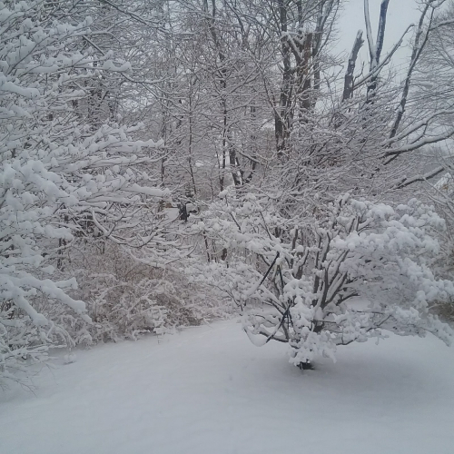 Pawcatuck Photo