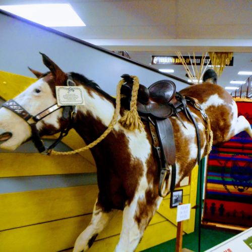 Pendleton Photo