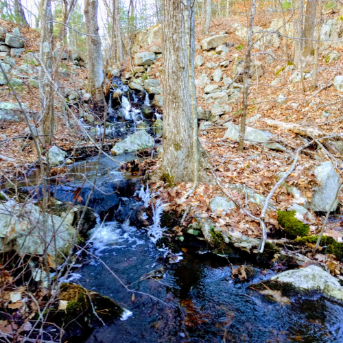Plainville Photo