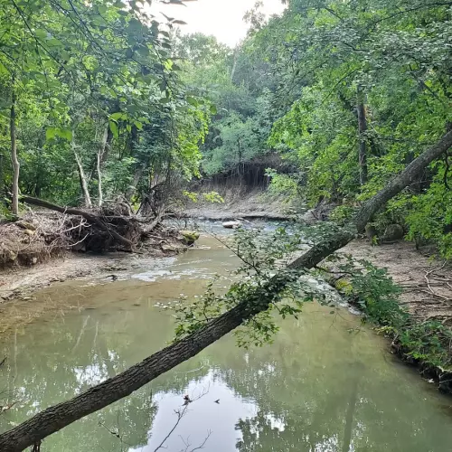 Plano Photo