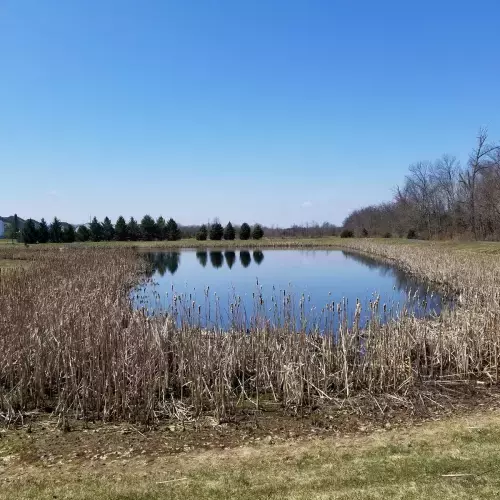 Quakertown Photo