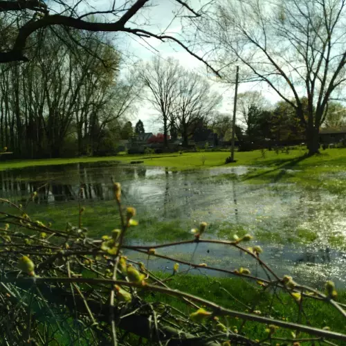 Redford Charter Township Photo