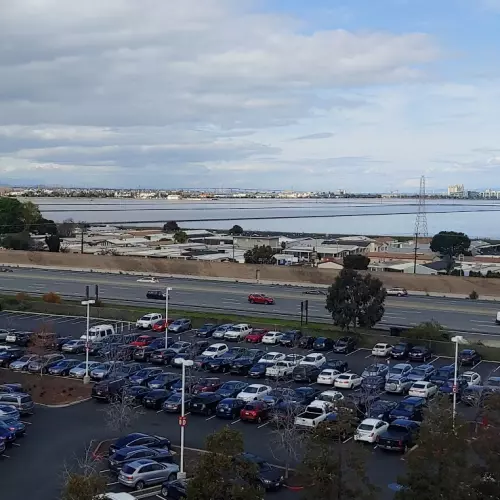 Redwood City Photo