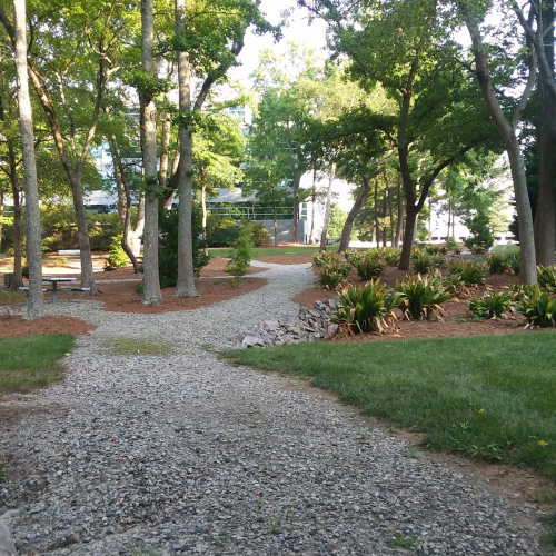 Research Triangle Park Photo
