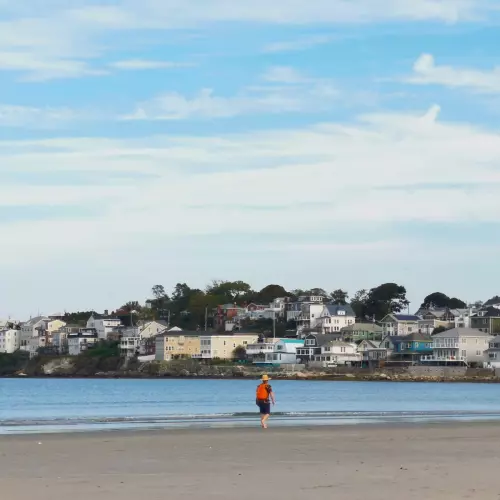 Revere Photo