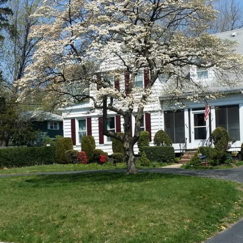 RIDGEFIELD PARK Photo