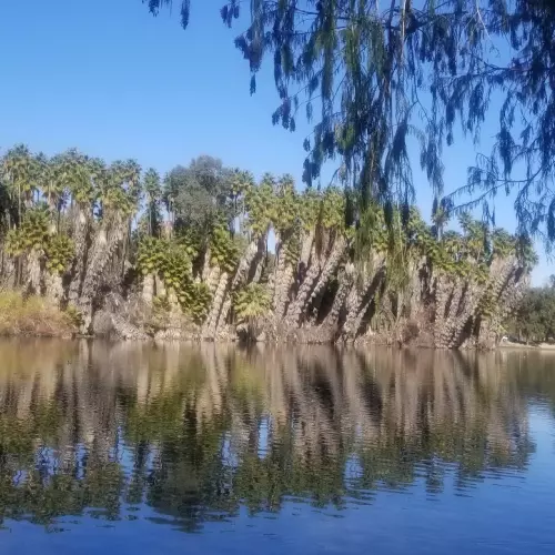 Riverside Photo