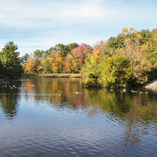 Rocky River, OH Photo