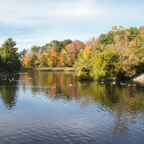 Rocky River Photo