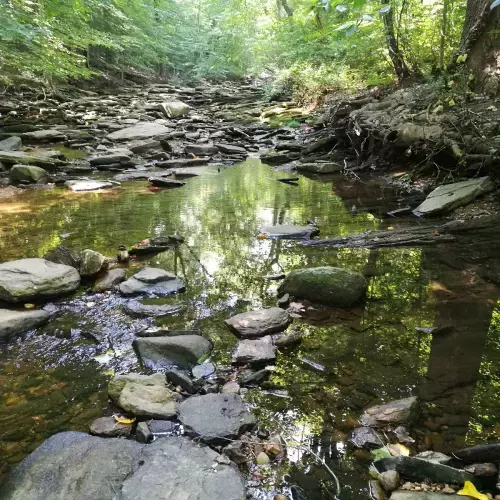 Rosedale Photo