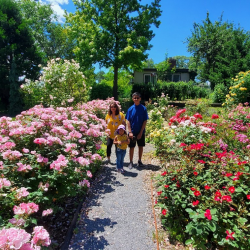 Roslyn Heights Photo