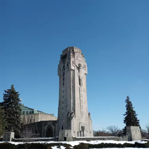 Royal Oak Photo