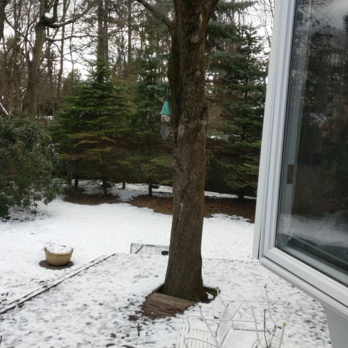 Rye Brook Photo