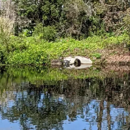 Safety Harbor Photo