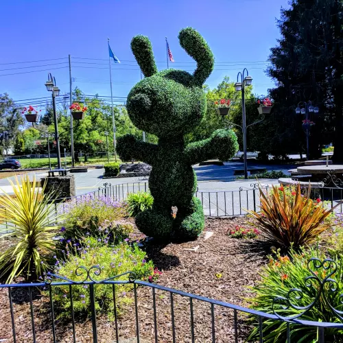 Santa Rosa Photo