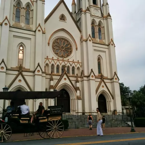 Savannah Photo