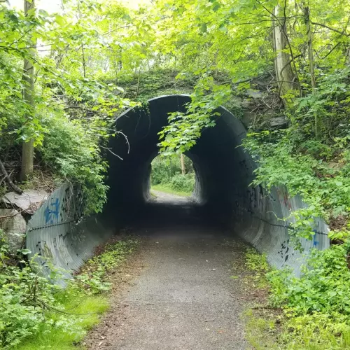 Scarsdale Photo