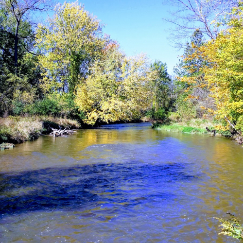 Shelby Twp Photo