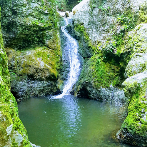 Shelton Photo