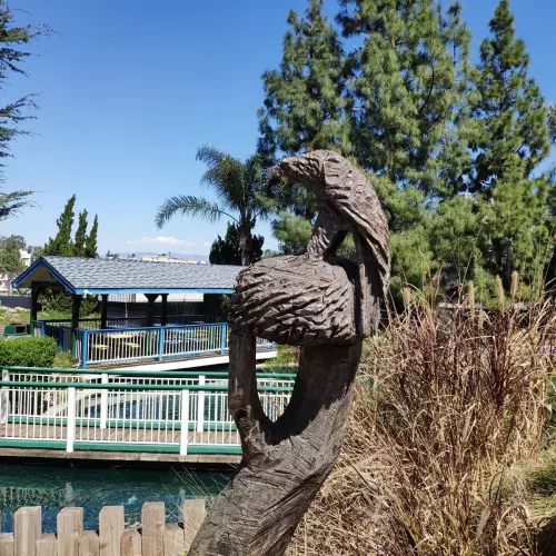 Sherman Oaks Photo