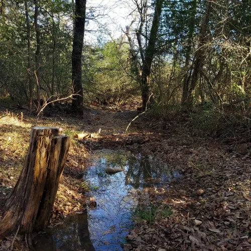 Smithville Photo