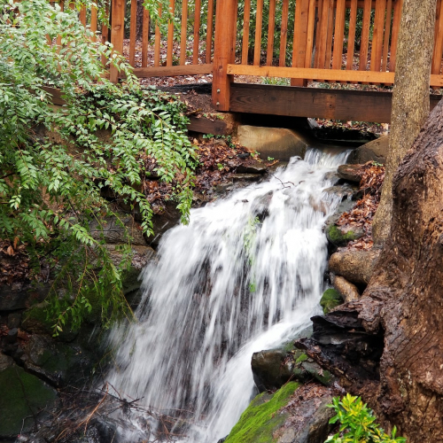 Spartanburg Photo